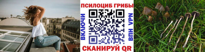 Псилоцибиновые грибы мухоморы  Питкяранта 